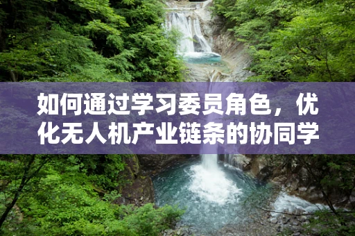 如何通过学习委员角色，优化无人机产业链条的协同学习机制？
