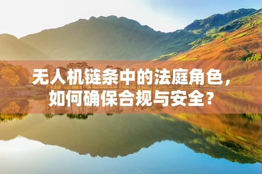 无人机链条中的法庭角色，如何确保合规与安全？
