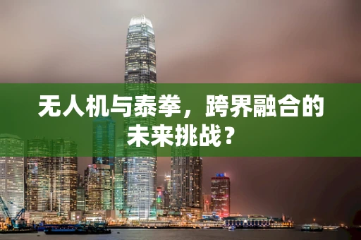 无人机与泰拳，跨界融合的未来挑战？