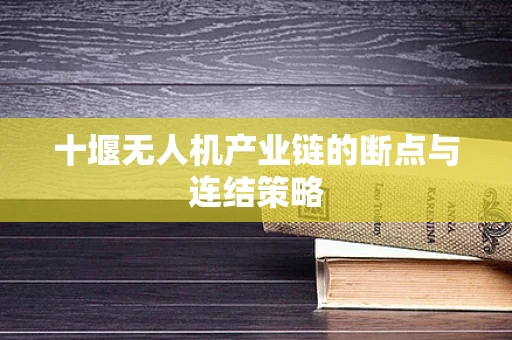 十堰无人机产业链的断点与连结策略