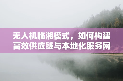 无人机临湘模式，如何构建高效供应链与本地化服务网络？