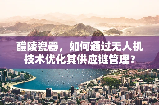 醴陵瓷器，如何通过无人机技术优化其供应链管理？