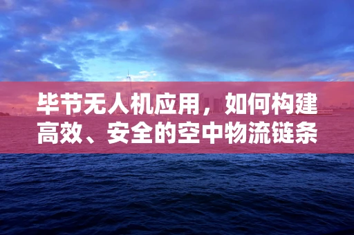 毕节无人机应用，如何构建高效、安全的空中物流链条？