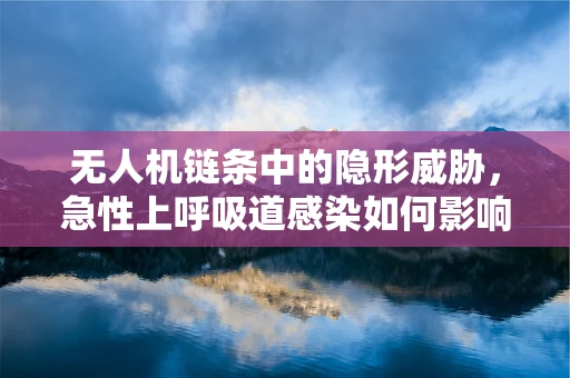 无人机链条中的隐形威胁，急性上呼吸道感染如何影响飞行安全？