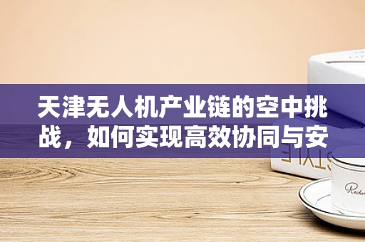 天津无人机产业链的空中挑战，如何实现高效协同与安全监管？