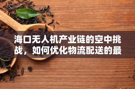 海口无人机产业链的空中挑战，如何优化物流配送的最后一公里？