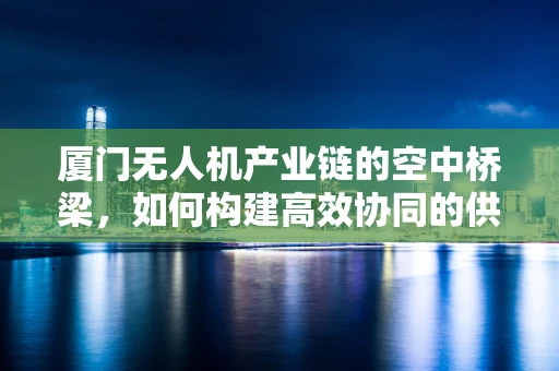 厦门无人机产业链的空中桥梁，如何构建高效协同的供应链？