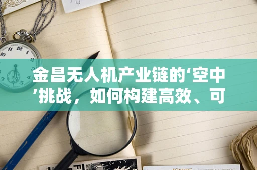 金昌无人机产业链的‘空中’挑战，如何构建高效、可持续的供应链？
