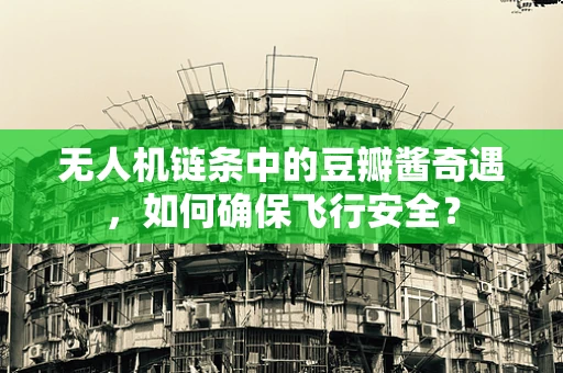 无人机链条中的豆瓣酱奇遇，如何确保飞行安全？