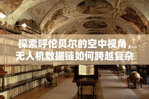 探索呼伦贝尔的空中视角，无人机数据链如何跨越复杂地形挑战？