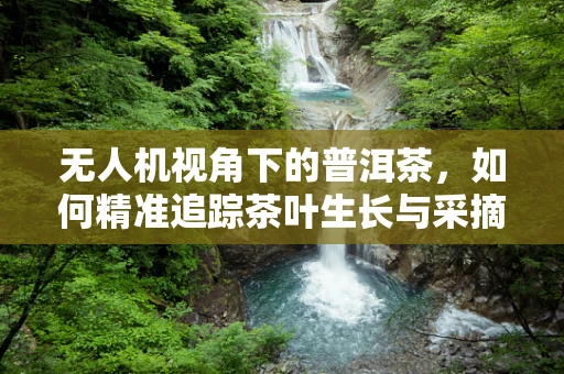 无人机视角下的普洱茶，如何精准追踪茶叶生长与采摘？