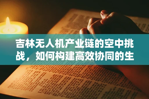吉林无人机产业链的空中挑战，如何构建高效协同的生态系统？