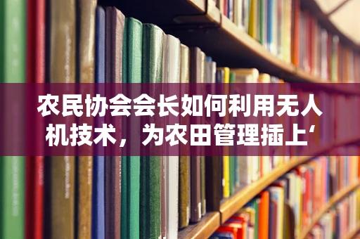 农民协会会长如何利用无人机技术，为农田管理插上‘智慧’的翅膀？