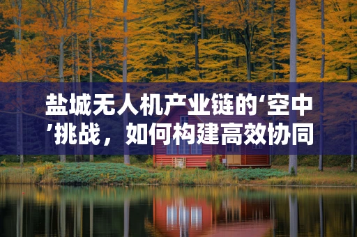 盐城无人机产业链的‘空中’挑战，如何构建高效协同的供应链？