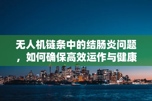 无人机链条中的结肠炎问题，如何确保高效运作与健康维护？