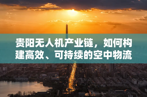 贵阳无人机产业链，如何构建高效、可持续的空中物流网络？