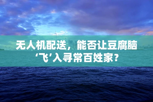 无人机配送，能否让豆腐脑‘飞’入寻常百姓家？