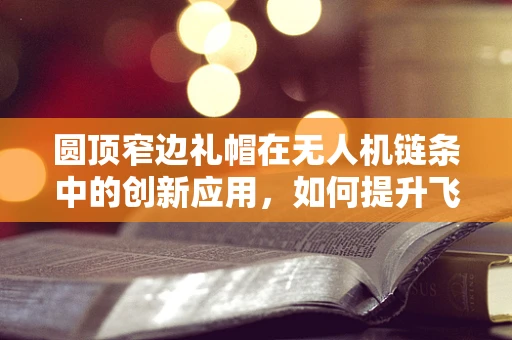 圆顶窄边礼帽在无人机链条中的创新应用，如何提升飞行稳定与视觉美学？