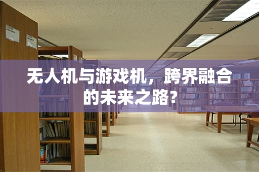 无人机与游戏机，跨界融合的未来之路？