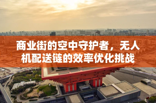 商业街的空中守护者，无人机配送链的效率优化挑战