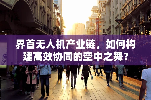 界首无人机产业链，如何构建高效协同的空中之舞？