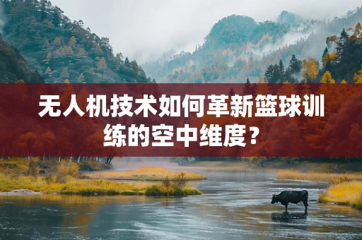无人机技术如何革新篮球训练的空中维度？