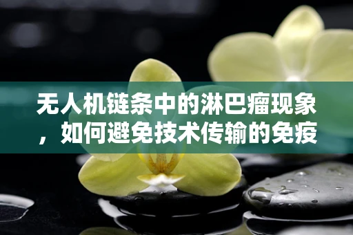 无人机链条中的淋巴瘤现象，如何避免技术传输的免疫缺陷？