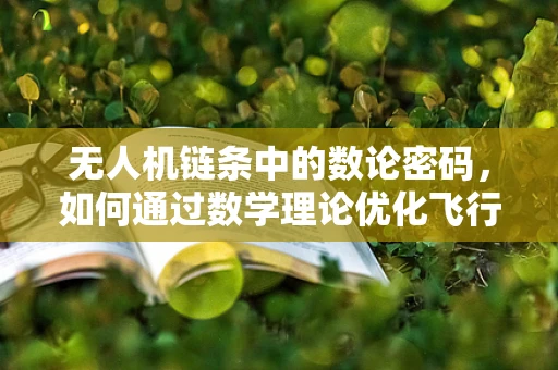 无人机链条中的数论密码，如何通过数学理论优化飞行路径？