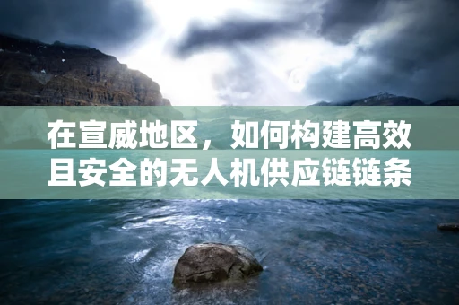 在宣威地区，如何构建高效且安全的无人机供应链链条？