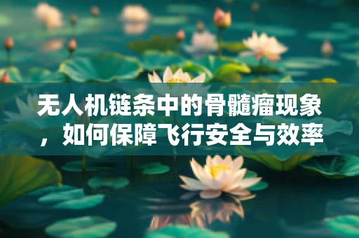 无人机链条中的骨髓瘤现象，如何保障飞行安全与效率？