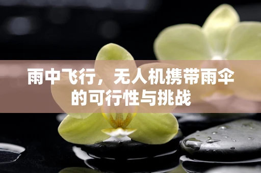 雨中飞行，无人机携带雨伞的可行性与挑战