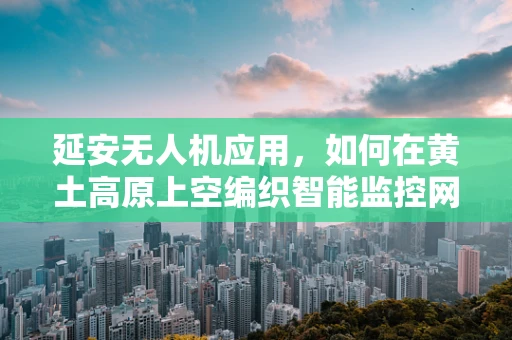 延安无人机应用，如何在黄土高原上空编织智能监控网？