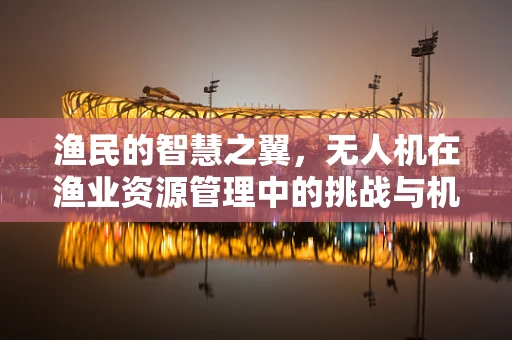 渔民的智慧之翼，无人机在渔业资源管理中的挑战与机遇？