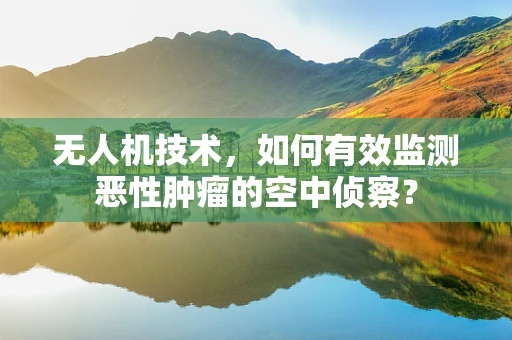 无人机技术，如何有效监测恶性肿瘤的空中侦察？