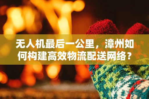 无人机最后一公里，漳州如何构建高效物流配送网络？