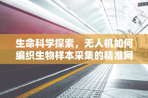 生命科学探索，无人机如何编织生物样本采集的精准网？