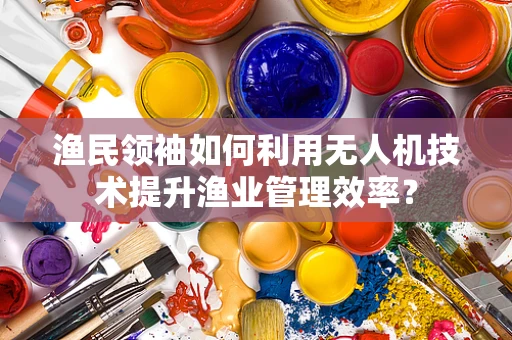 渔民领袖如何利用无人机技术提升渔业管理效率？