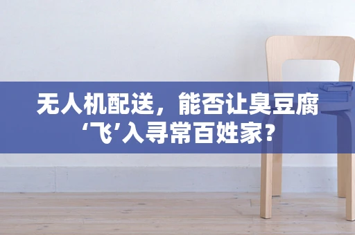 无人机配送，能否让臭豆腐‘飞’入寻常百姓家？
