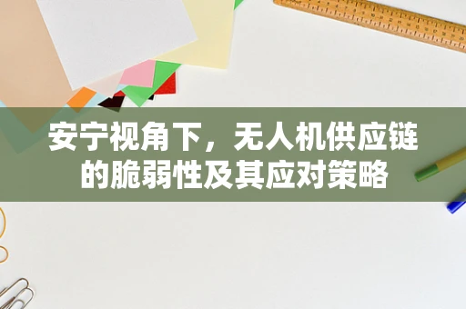 安宁视角下，无人机供应链的脆弱性及其应对策略