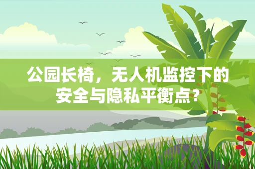 公园长椅，无人机监控下的安全与隐私平衡点？