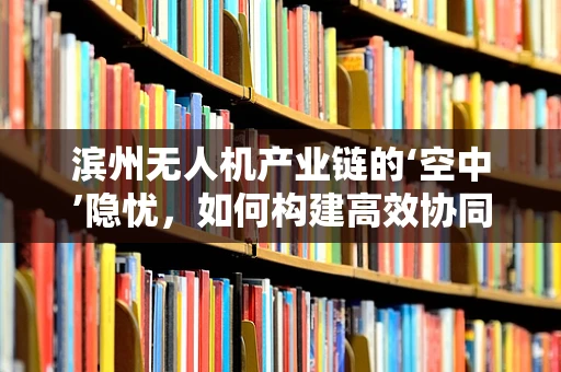 滨州无人机产业链的‘空中’隐忧，如何构建高效协同的供应链网络？