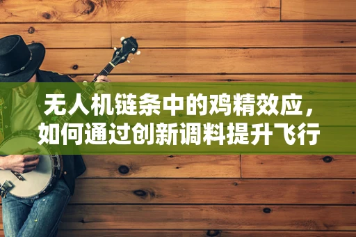 无人机链条中的鸡精效应，如何通过创新调料提升飞行性能？