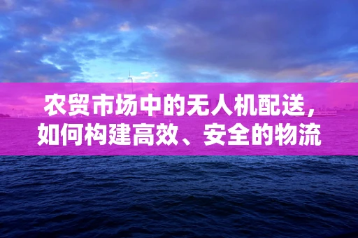 农贸市场中的无人机配送，如何构建高效、安全的物流链条？