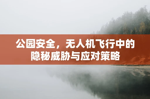 公园安全，无人机飞行中的隐秘威胁与应对策略
