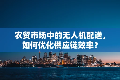 农贸市场中的无人机配送，如何优化供应链效率？