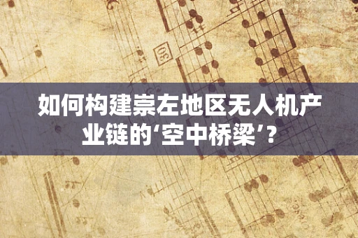如何构建崇左地区无人机产业链的‘空中桥梁’？