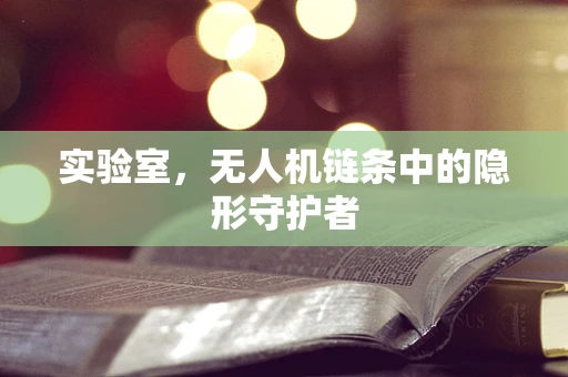 实验室，无人机链条中的隐形守护者