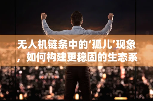 无人机链条中的‘孤儿’现象，如何构建更稳固的生态系统？