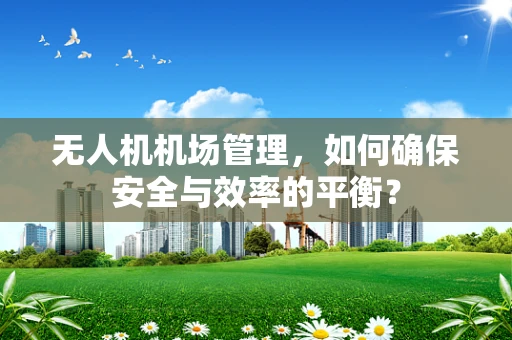无人机机场管理，如何确保安全与效率的平衡？