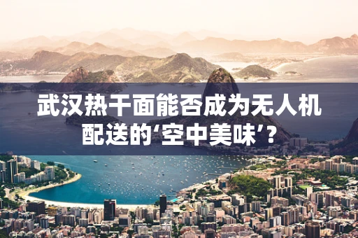 武汉热干面能否成为无人机配送的‘空中美味’？